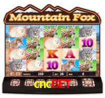 cncbet.com