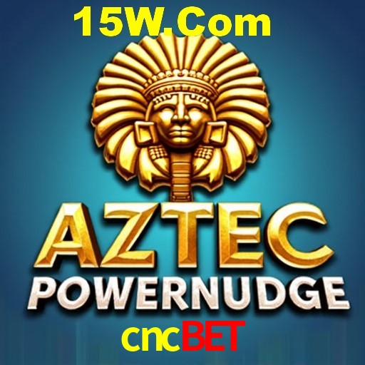 Security Systems cncbet