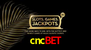 cncbet: Jogue Crash e Experimente Alta Recompensa Instantânea