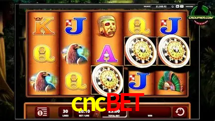 cncbet São Paulo - Jogo Providers