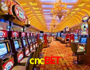cncbet Brasília - Bonus Features